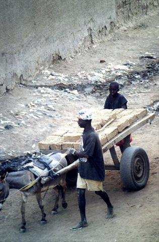 Transporting bricks