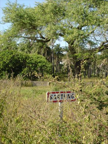 Kartong Sign