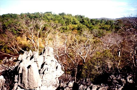 The tsingy mountains