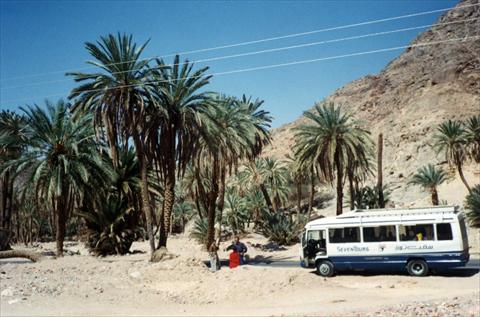 Busstop in the desert