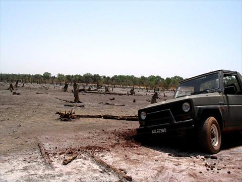 Desert parking