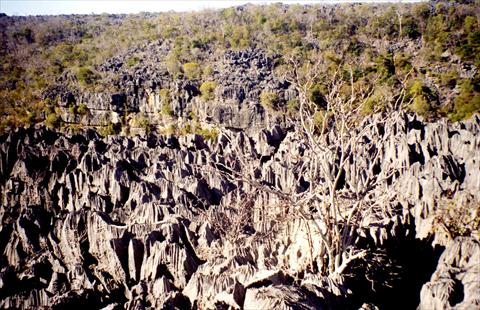 Tsingy Mountains